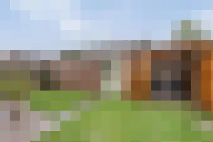 Europalaan 53 Sas van Gent thumbnail 18