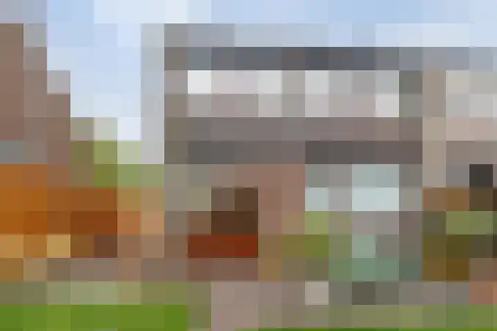 Europalaan 53 Sas van Gent thumbnail 19
