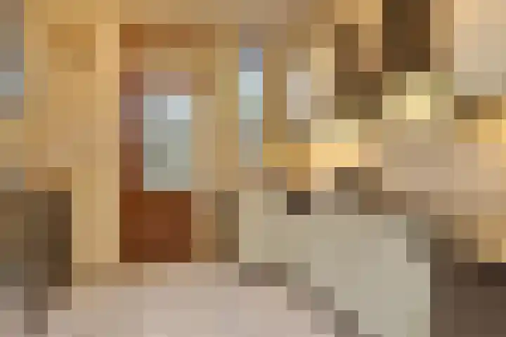 Europalaan 53 Sas van Gent thumbnail 8