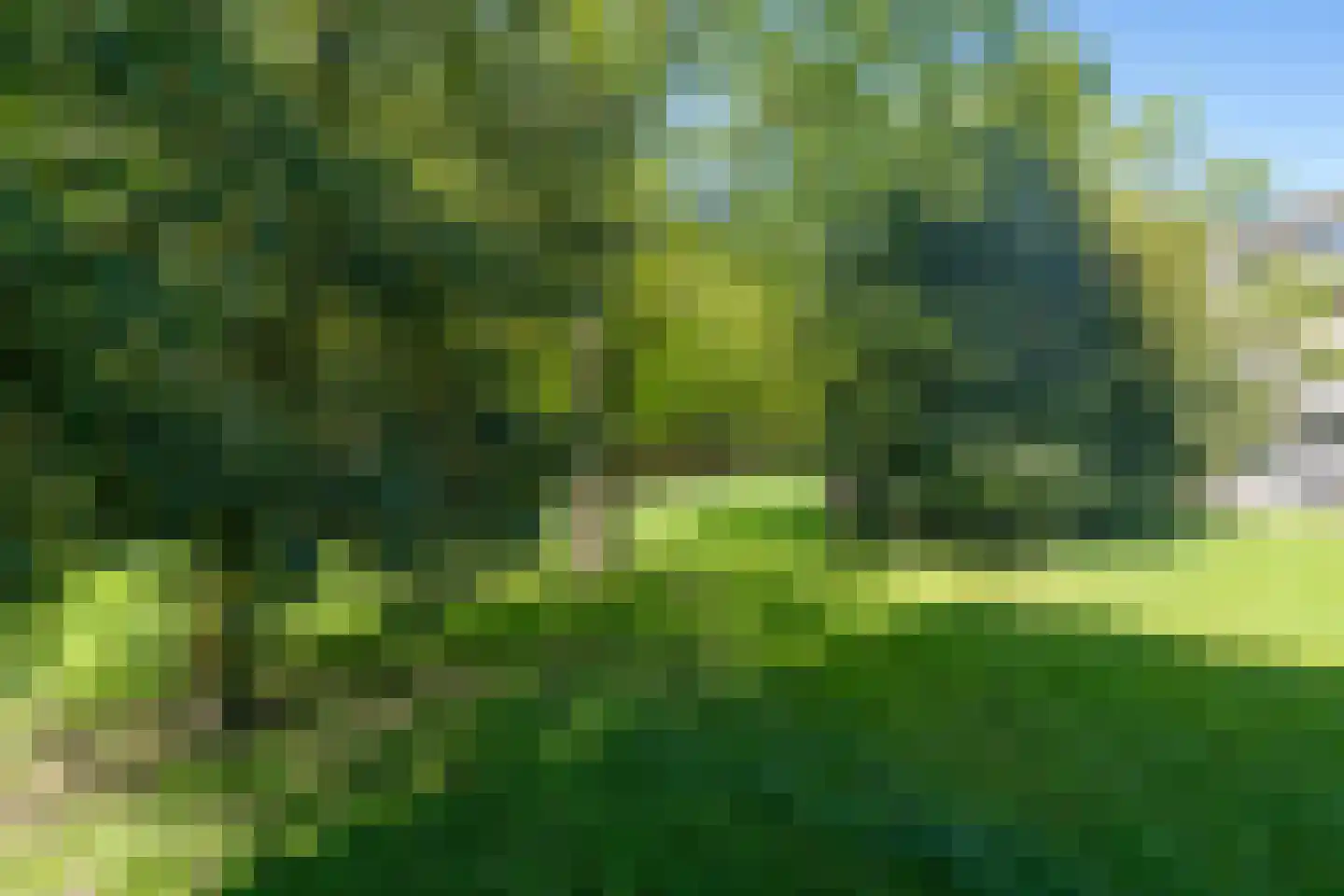 Europalaan 533 Tilburg thumbnail 33