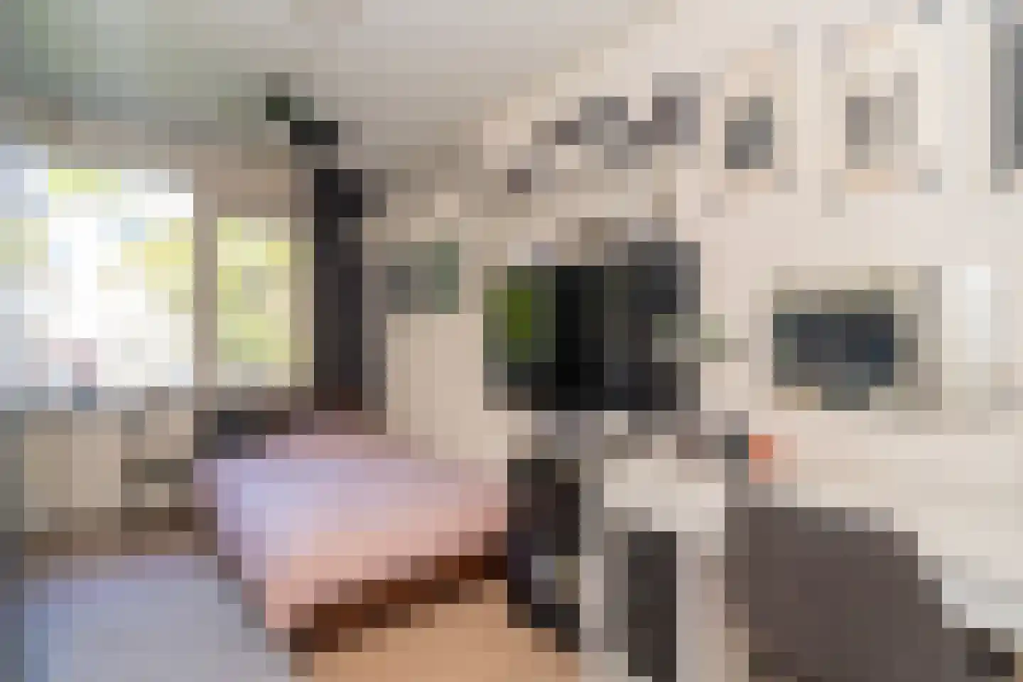 Europalaan 533 Tilburg thumbnail 36