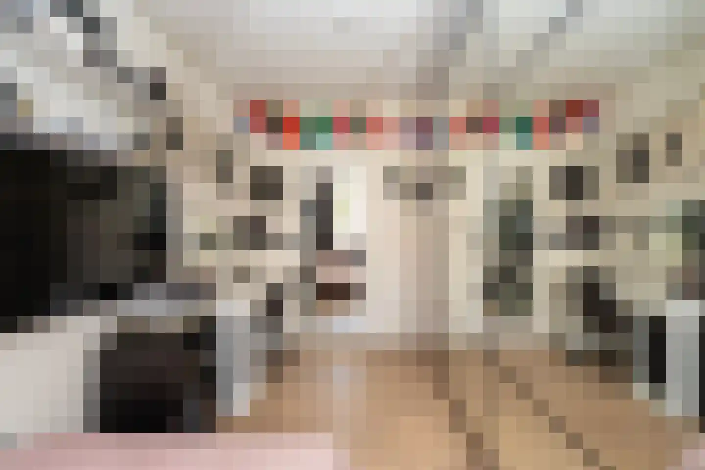 Europalaan 533 Tilburg thumbnail 39