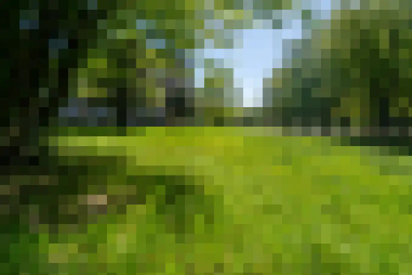 Europalaan 533 Tilburg thumbnail 43