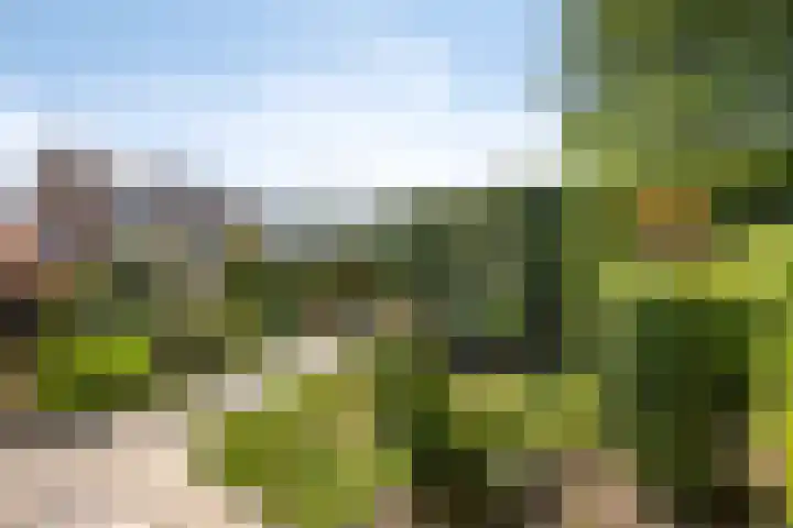 Europalaan 55 Maastricht thumbnail 19
