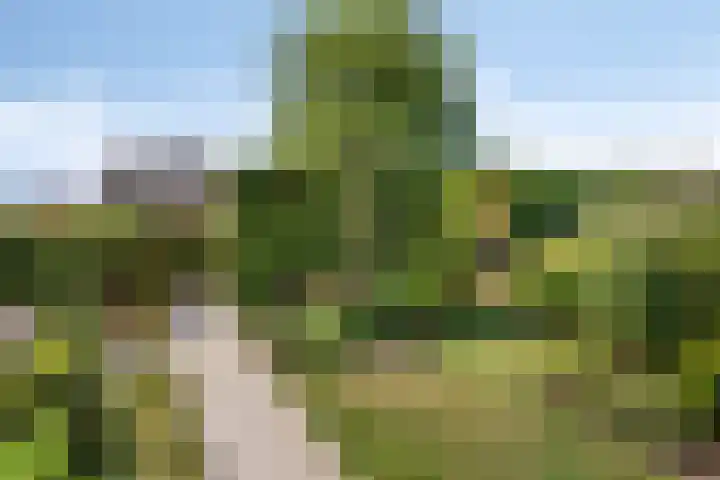 Europalaan 55 Maastricht thumbnail 21