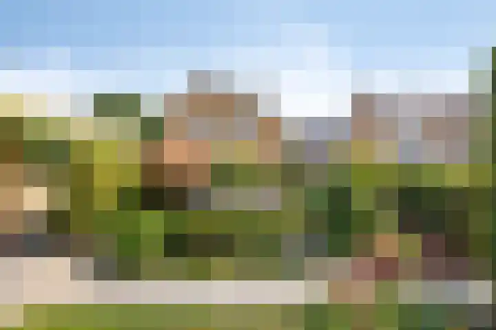 Europalaan 55 Maastricht thumbnail 22