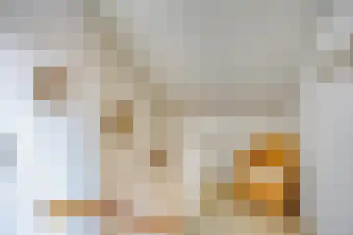 Europalaan 55 Maastricht thumbnail 33