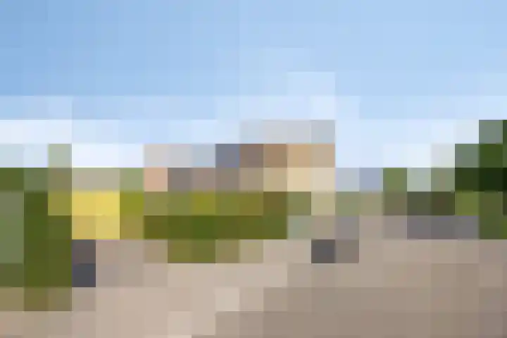 Europalaan 55 Maastricht thumbnail 6