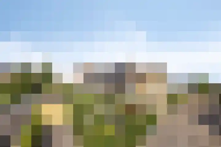 Europalaan 55 Maastricht thumbnail 7