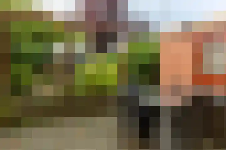 Europalaan 55 Rheden thumbnail 20