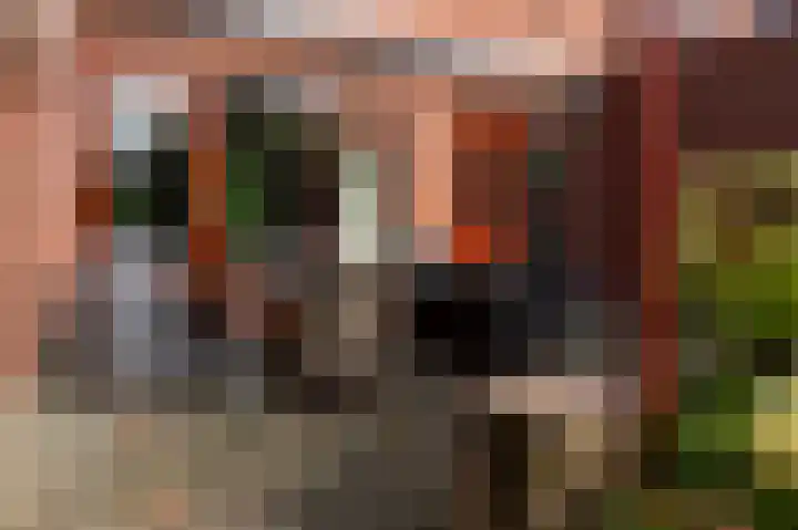 Europalaan 55 Rheden thumbnail 22