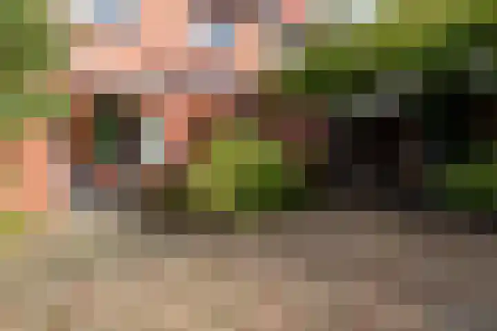Europalaan 55 Rheden thumbnail 23
