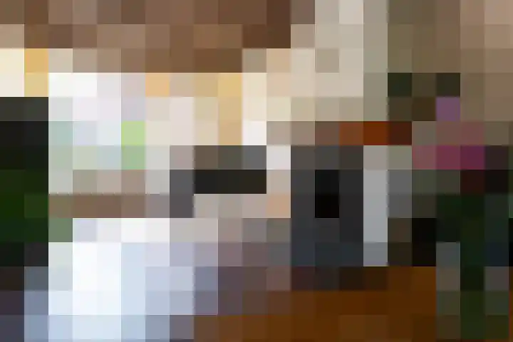 Europalaan 55 Rheden thumbnail 5