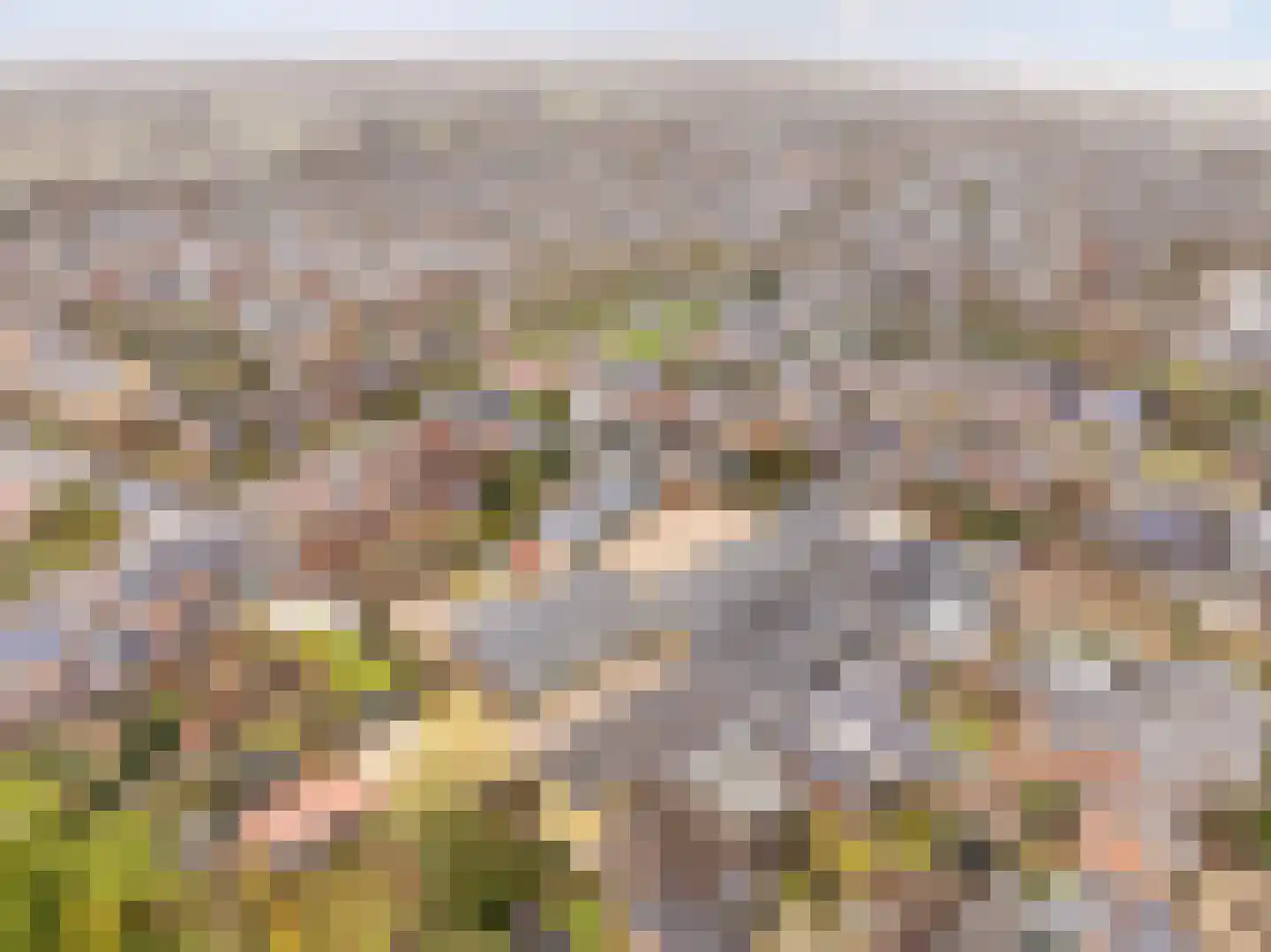 Europalaan 55 Rheden thumbnail 8