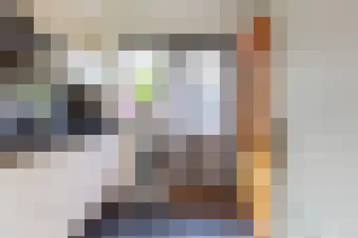 Europalaan 55 Rheden thumbnail 9