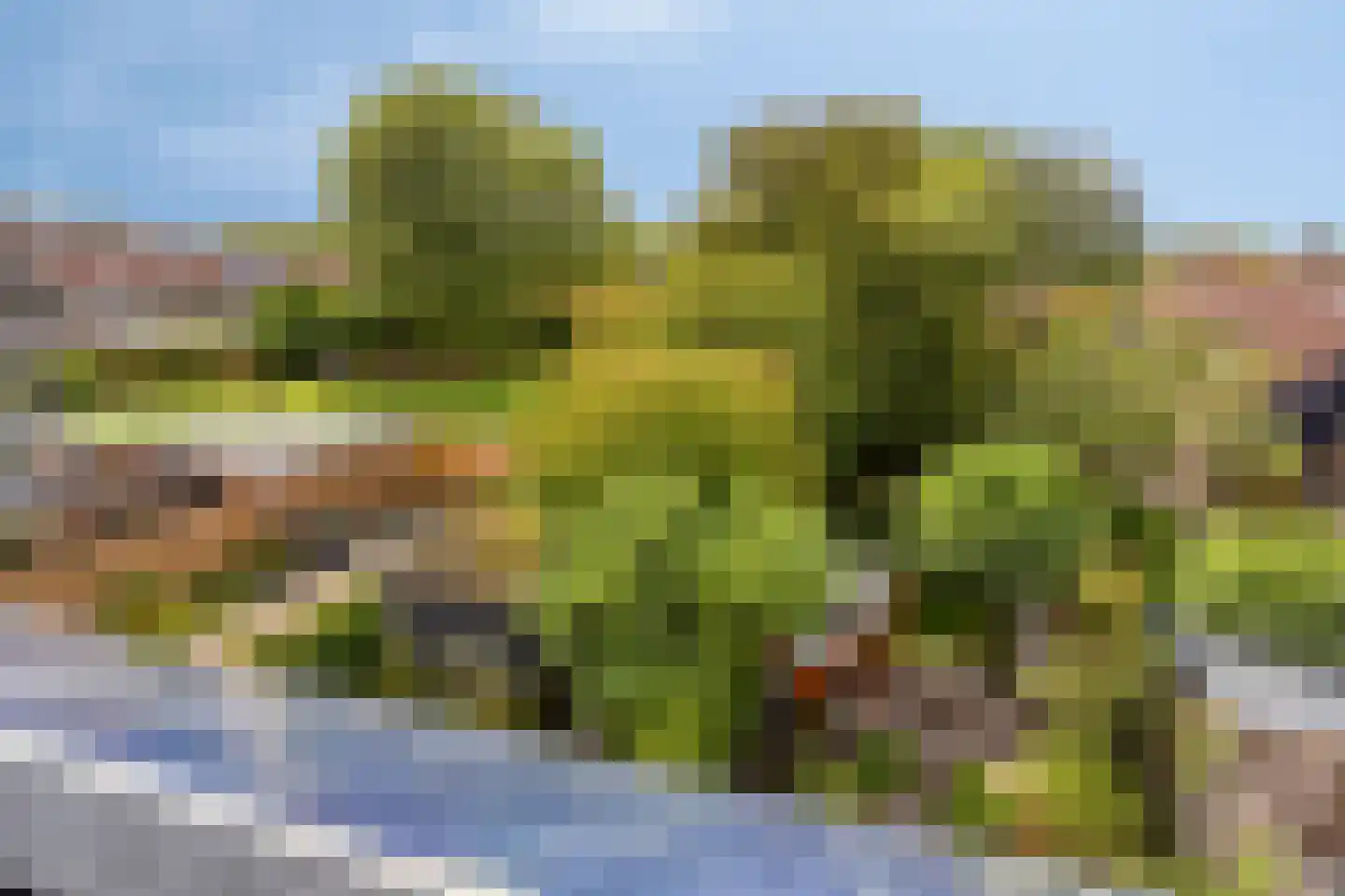 Europalaan 56 Goes thumbnail 31