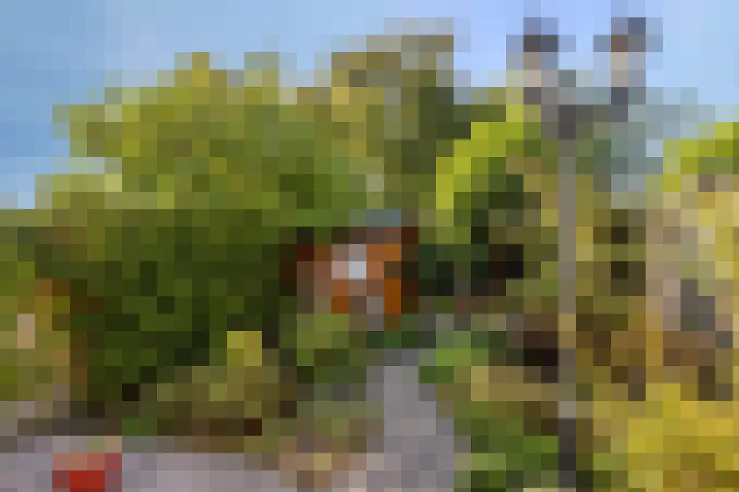 Europalaan 56 Goes thumbnail 34