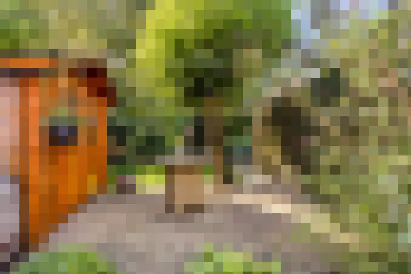 Europalaan 56 Goes thumbnail 35