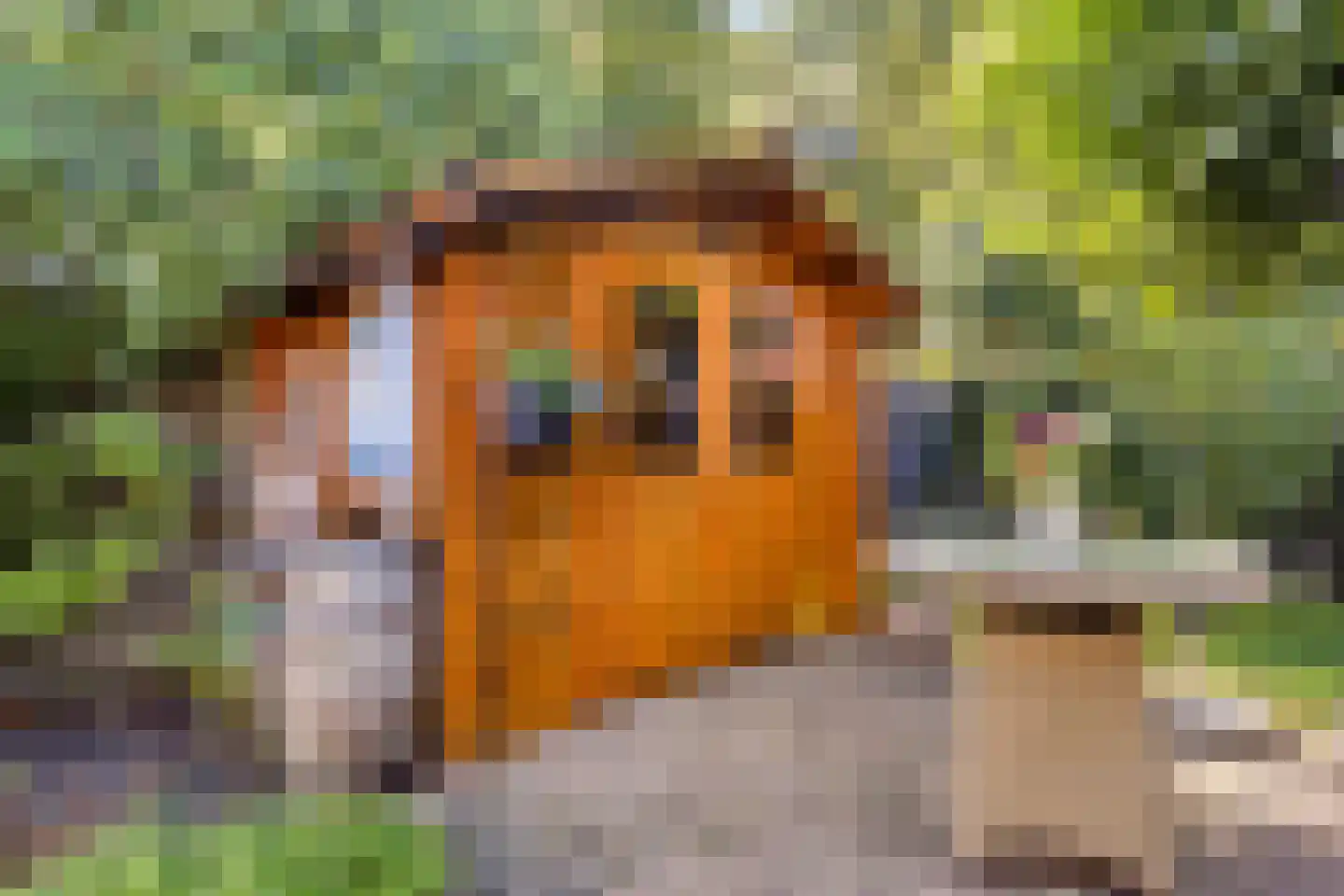 Europalaan 56 Goes thumbnail 36