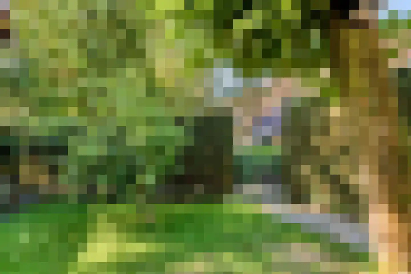 Europalaan 56 Goes thumbnail 37