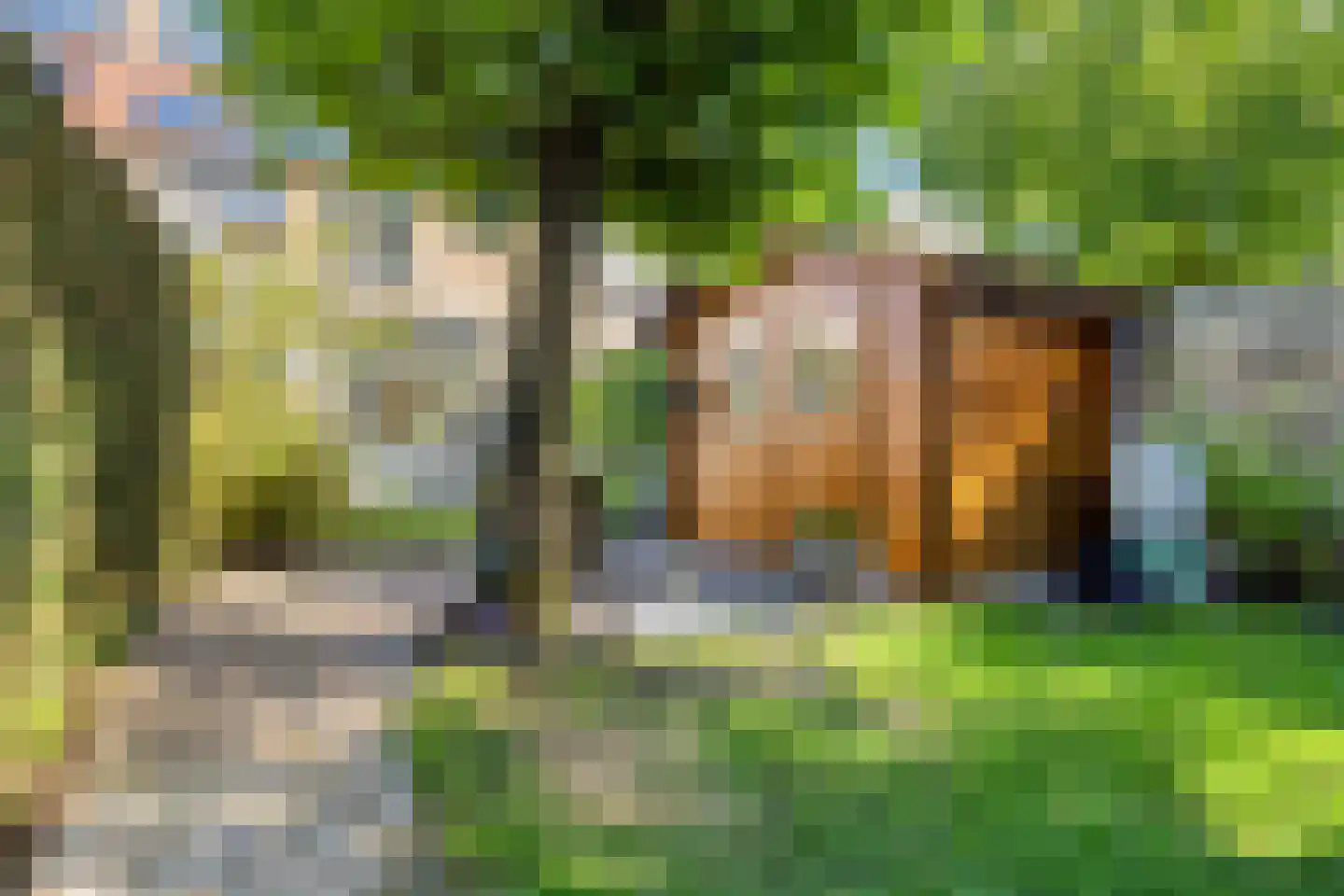 Europalaan 56 Goes thumbnail 38