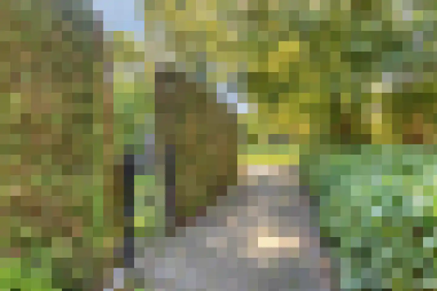 Europalaan 56 Goes thumbnail 40