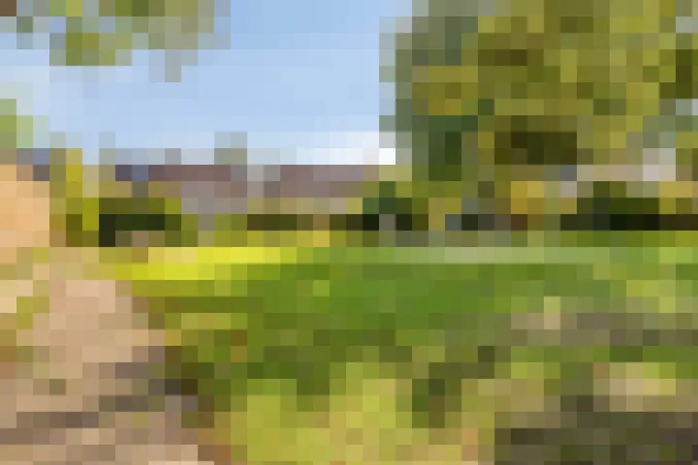Europalaan 56 Goes thumbnail 43