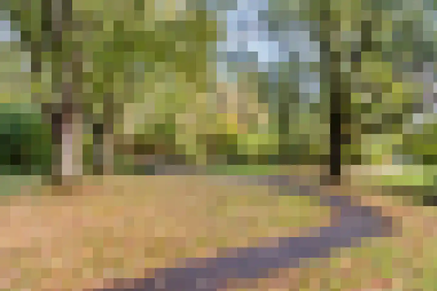Europalaan 56 Goes thumbnail 44