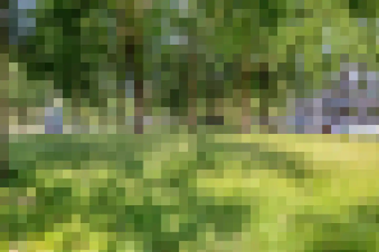 Europalaan 565 Tilburg thumbnail 29
