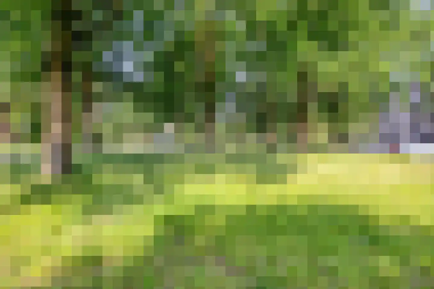 Europalaan 565 Tilburg thumbnail 30