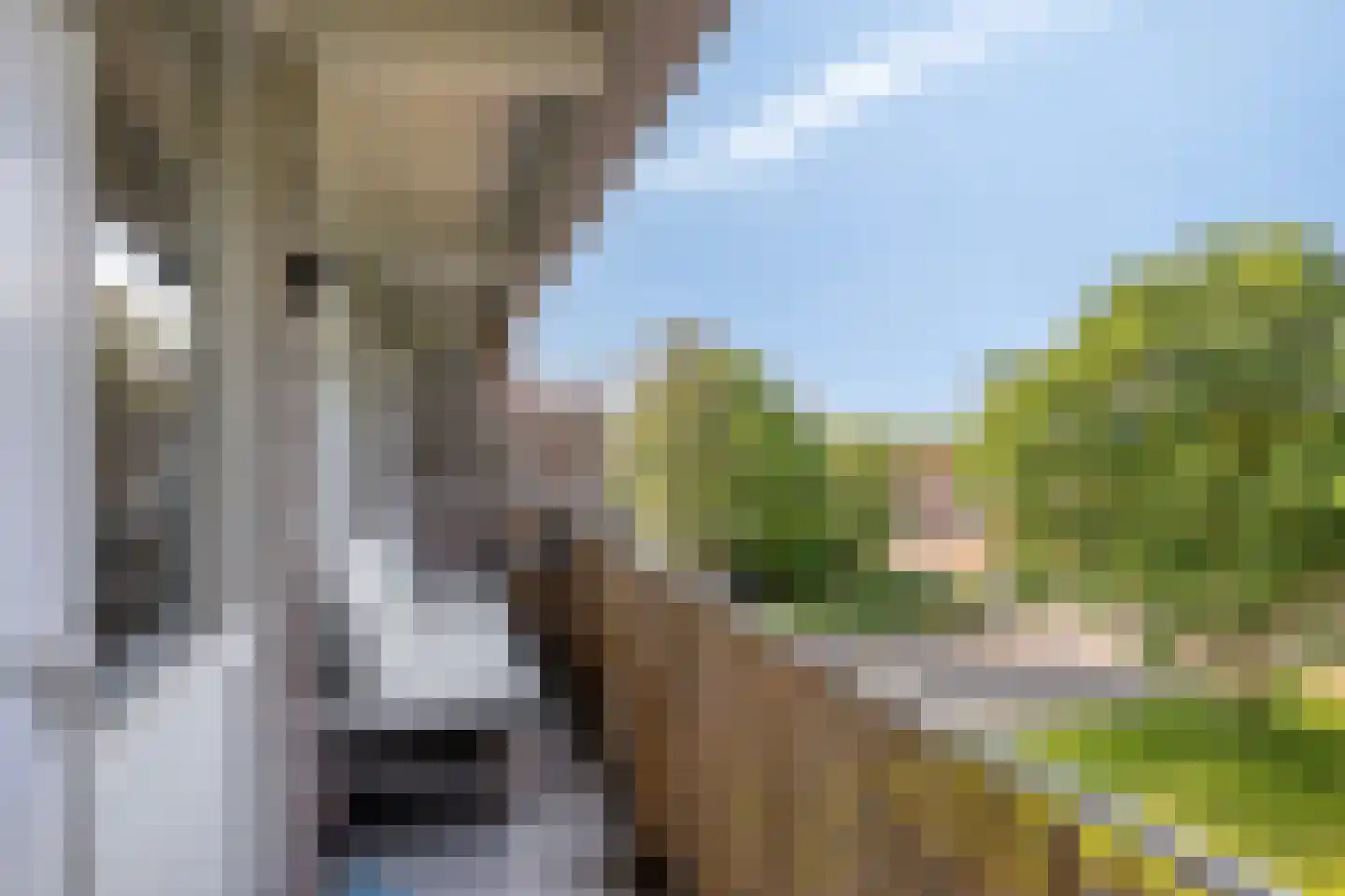 Europalaan 565 Tilburg thumbnail 5