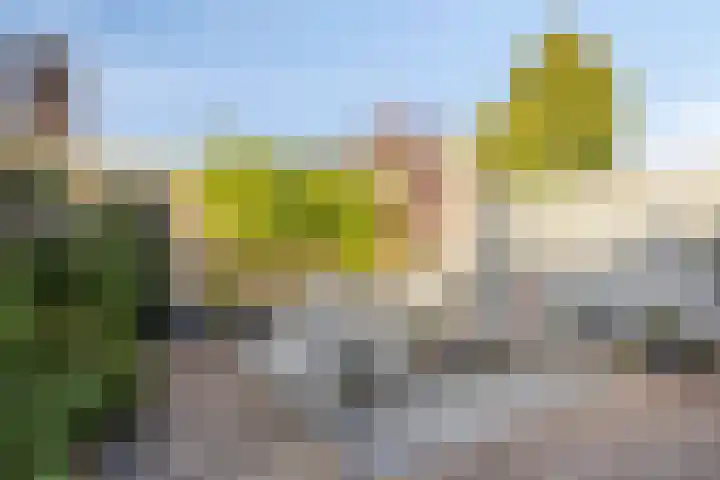 Europalaan 57 Etten-Leur thumbnail 24