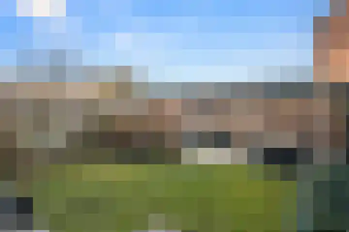 Europalaan 57 Renkum thumbnail 11