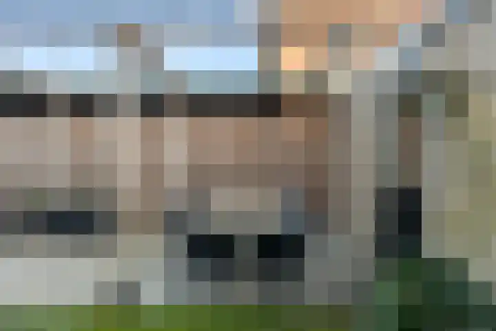 Europalaan 57 Renkum thumbnail 12