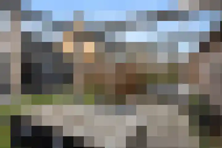 Europalaan 57 Renkum thumbnail 13