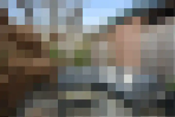 Europalaan 57 Renkum thumbnail 14