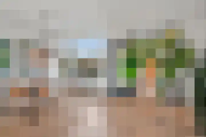 Europalaan 57 Renkum thumbnail 19