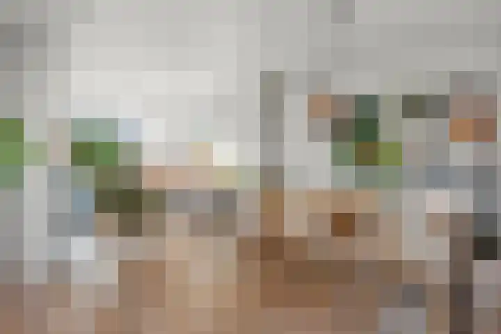 Europalaan 57 Renkum thumbnail 20