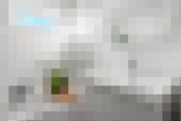 Europalaan 57 Renkum thumbnail 40