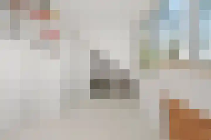 Europalaan 57 Renkum thumbnail 44