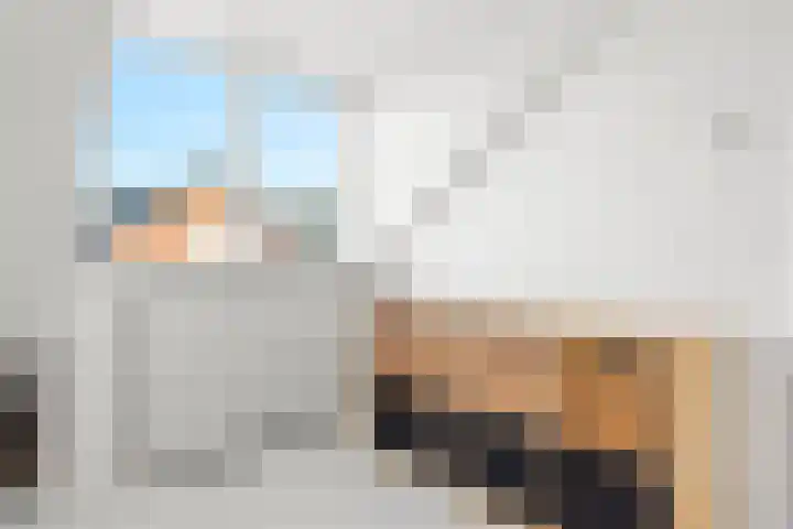 Europalaan 57 Renkum thumbnail 46