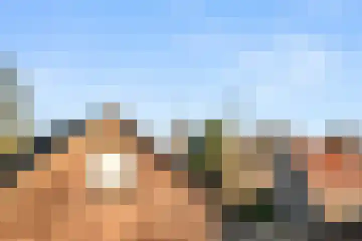 Europalaan 57 Renkum thumbnail 47