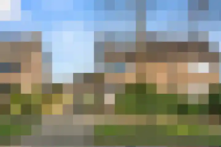 Europalaan 57 Renkum thumbnail 6