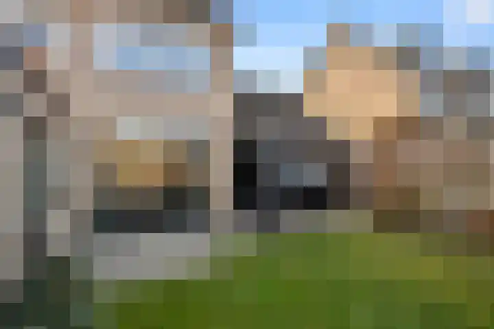 Europalaan 57 Renkum thumbnail 9