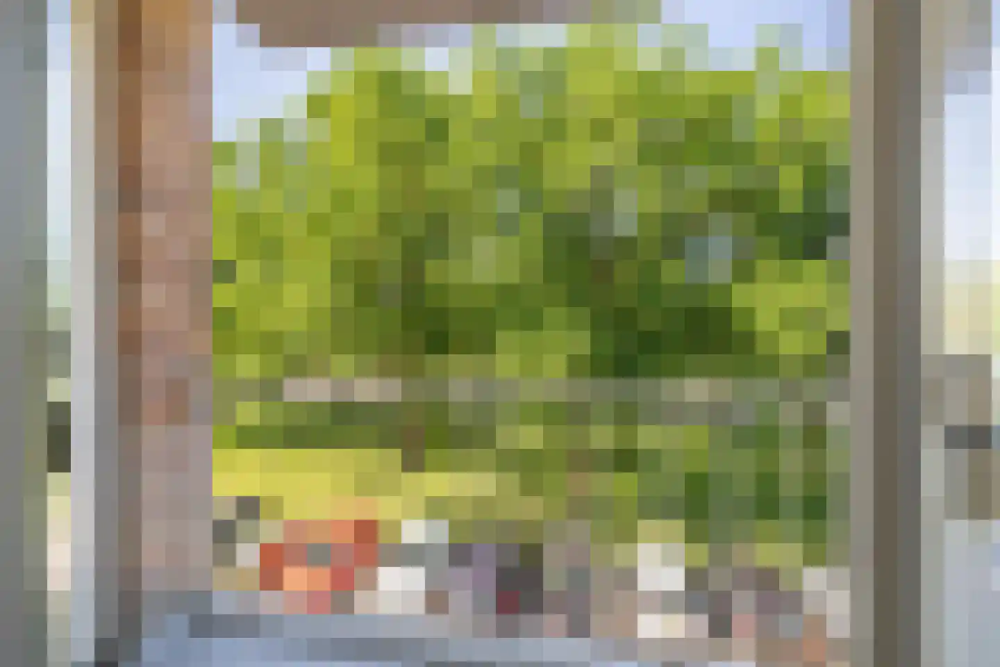 Europalaan 585 Tilburg thumbnail 20