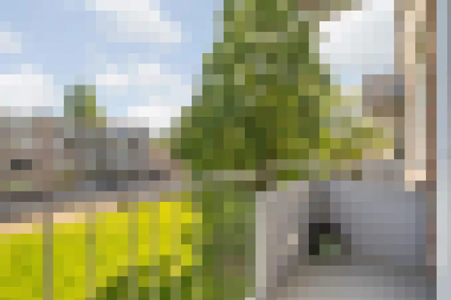 Europalaan 585 Tilburg thumbnail 30