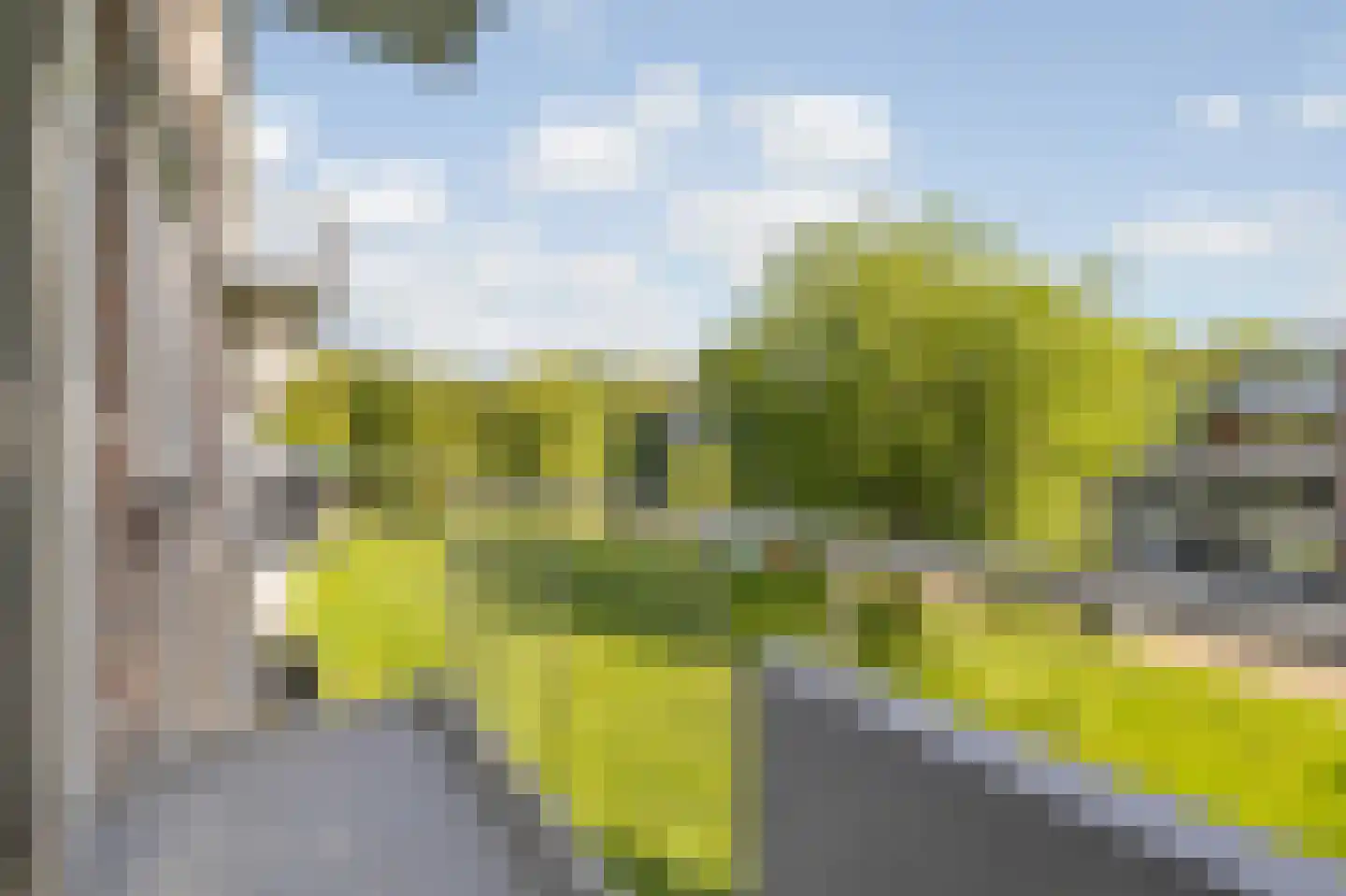 Europalaan 585 Tilburg thumbnail 31