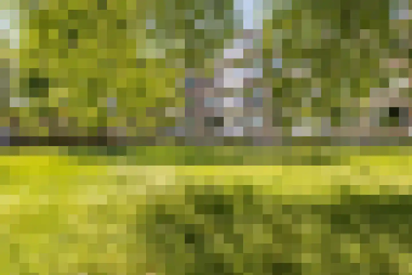 Europalaan 585 Tilburg thumbnail 52