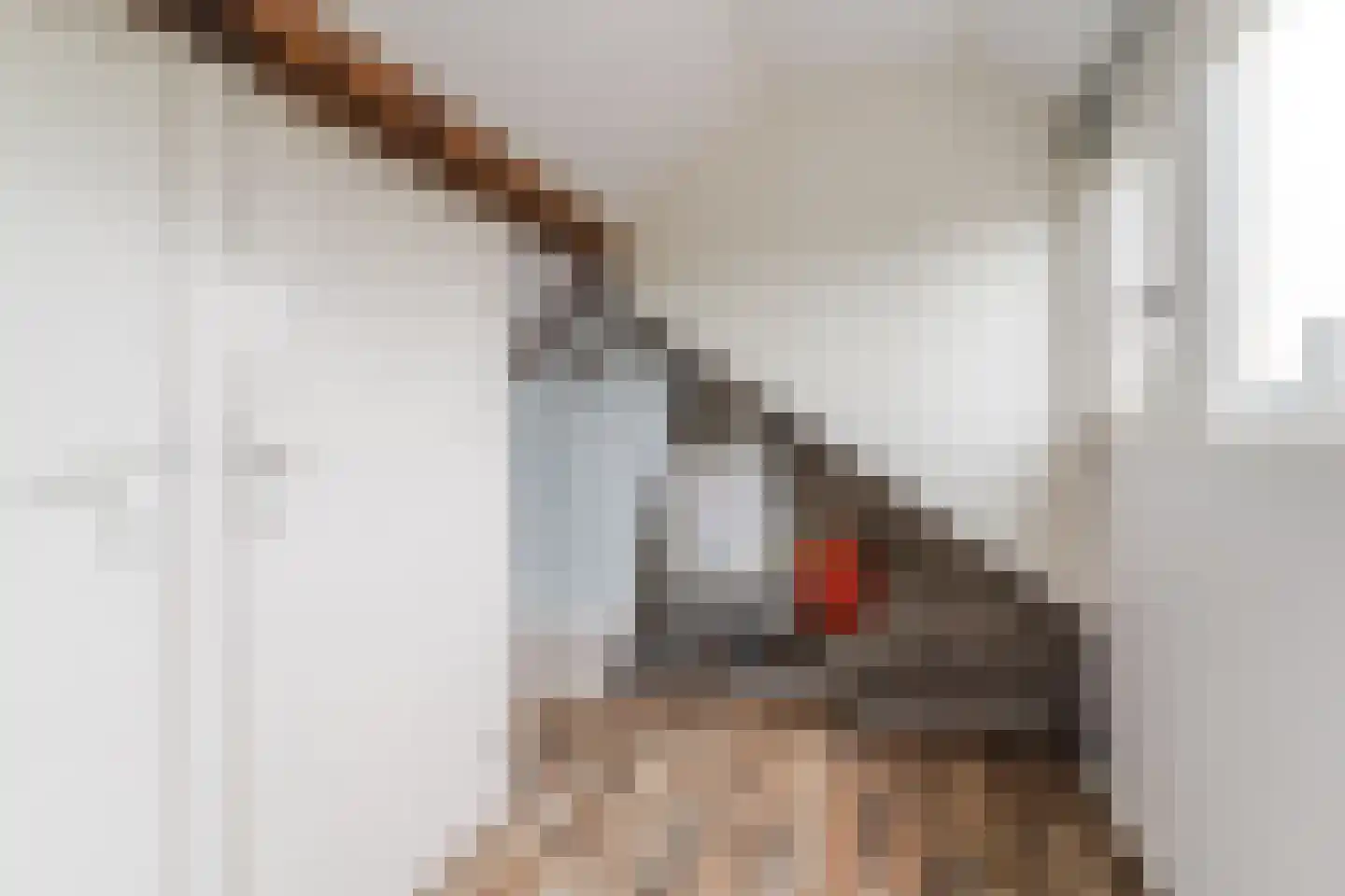 Europalaan 59 Bladel thumbnail 33