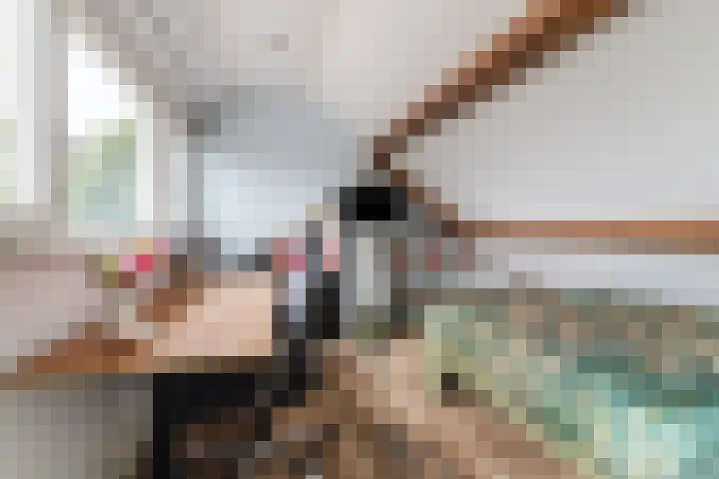 Europalaan 59 Bladel thumbnail 34